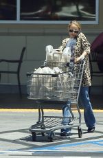 NICOLE RICHIE Shopping at Gelson