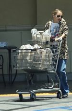 NICOLE RICHIE Shopping at Gelson