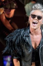PINK Performs at Summerfest Music Festival 2017 in Milwaukee 07/01/2017