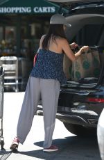 ROSELYN SANCHEZ Out for Grocery Shopping in Beverly Hills 07/20/2017