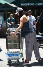 ROSELYN SANCHEZ Out for Grocery Shopping in Beverly Hills 07/20/2017