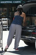 ROSELYN SANCHEZ Out for Grocery Shopping in Beverly Hills 07/20/2017