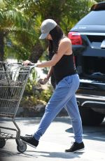 ROSELYN SANCHEZ Shopping at Whole Foods in Beverly Hills 07/05/2017