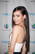 SOFIA CARSON at Despierta America in Miami 07/18/2017