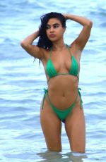 TAO WICKRATH and JULISSA NEAL in Bikinis at a Beach in Miami 06/30/2017