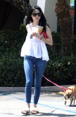 ALESSANDRA TORRESANI Out With Her Dog in Los Angeles 08/23/2017