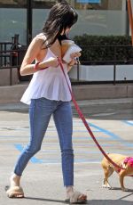 ALESSANDRA TORRESANI Out With Her Dog in Los Angeles 08/23/2017
