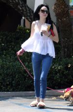 ALESSANDRA TORRESANI Out With Her Dog in Los Angeles 08/23/2017