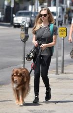 AMANDA SEYFRIED Out and About in Los Angeles 08/24/2017