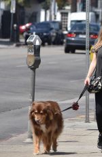 AMANDA SEYFRIED Out for Lunch at Cheebo in West Hollywood 08/23/2017