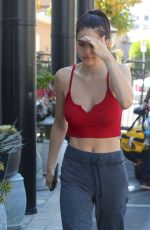AMELIA HAMLIN Out for Lunch in Los Angeles 08/27/2017