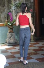 AMELIA HAMLIN Out for Lunch in Los Angeles 08/27/2017