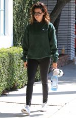 ASHLEY TISDALE at a Gym in Studio City 08/26/2017