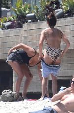 ASHLEY TISDALE in Swimsuit at a Beach in Malibu 08/20/2017