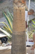 BETHENNY FRANKEL in Swimsuit at a Beach in Ibiza 08/25/2017