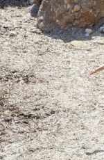 BETHENNY FRANKEL in Swimsuit at a Beach in Ibiza 08/25/2017