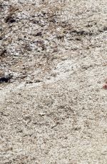 BETHENNY FRANKEL in Swimsuit at a Beach in Ibiza 08/25/2017
