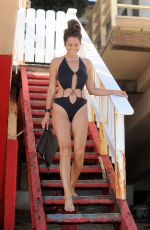 BROOKE BURKE in Swimsuit at Her Beach House in Malibu 08/03/2017
