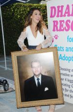 CHRISHELL STAUSE at Daytime for Dogs in Los Angeles 08/18/2017