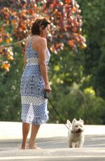 COUNTESS LUANN DE LESSEPS Walks Her Dog Out in Hamptons 08/23/2017