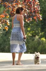 COUNTESS LUANN DE LESSEPS Walks Her Dog Out in Hamptons 08/23/2017