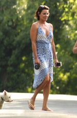 COUNTESS LUANN DE LESSEPS Walks Her Dog Out in Hamptons 08/23/2017