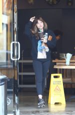 DAKOTA JOHNSON Leaves Kreation Organic Juicery in West Hollywood 08/15/2017