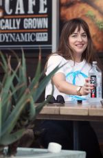 DAKOTA JOHNSON Out and About in Los Angeles 08/29/2017