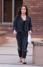 DEMI LOVATO Out and About in Los Angeles 08/28/2017