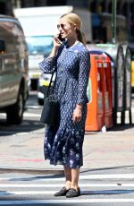 DIANNA AGRON Out in New York 08/16/2017