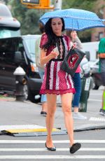 FAMKE JANSSEN Out for Dinner in New YOrk 08/20/2017
