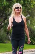 GOLDIE HAWN Workingout Near Home in Brentwood 08/23/2017