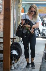 HILARY DUFF at a Vet in Sherman Oaks 08/26/2017