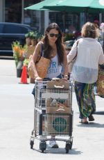 JORDANA BREWSTER Shopping at Whole Foods in Los Angeles 08/18/2017