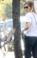 KATE MARA and Jamie Bell Walks Their Dogs in Silverlake 08/12/2017