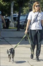 KATE MARA and Jamie Bell Walks Their Dogs in Silverlake 08/12/2017