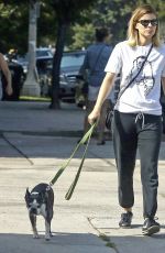 KATE MARA and Jamie Bell Walks Their Dogs in Silverlake 08/12/2017