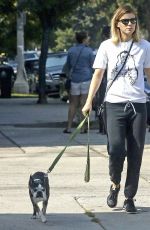 KATE MARA and Jamie Bell Walks Their Dogs in Silverlake 08/12/2017