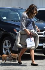 KATHARINE MCPHEE Out With Her Dogs in Beverly Hills 08/22/2017