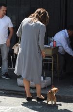 KATHARINE MCPHEE Out With Her Dogs in Beverly Hills 08/22/2017