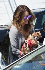 KATHARINE MCPHEE Out With Her Dogs in Beverly Hills 08/22/2017