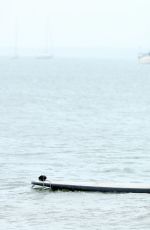 KATIE LEE Paddle Boards in Hamptons Paddle for Pink Event in Sag Harbor 08/05/2017