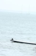 KATIE LEE Paddle Boards in Hamptons Paddle for Pink Event in Sag Harbor 08/05/2017