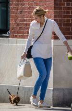 KELLY RUTHERFORD Out with Her Dog in New York 08/16/2017