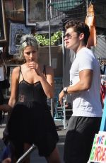 LEXY PANTERRA and Gregg Sulkin at a Vintage Flea Market in Hollywood 08/14/2017