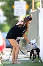 LEILANI DOWDING Walks Her Dogs Out in Hollywood Hills 08/06/2017