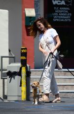 MINKA KELLY Leaves Local Vets with Her Dogs in West Hollywood 08/24/2017
