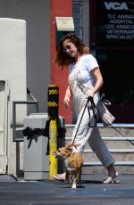 MINKA KELLY Leaves Local Vets with Her Dogs in West Hollywood 08/24/2017
