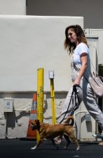 MINKA KELLY Leaves Local Vets with Her Dogs in West Hollywood 08/24/2017