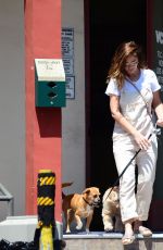 MINKA KELLY Leaves Local Vets with Her Dogs in West Hollywood 08/24/2017